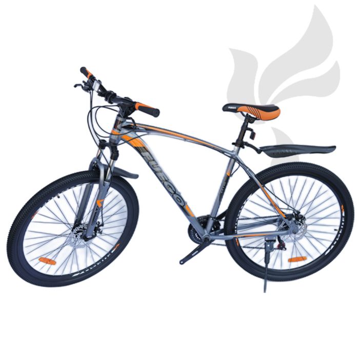 EXTRAVAGANTE-GB21-29-GRAYORANGE