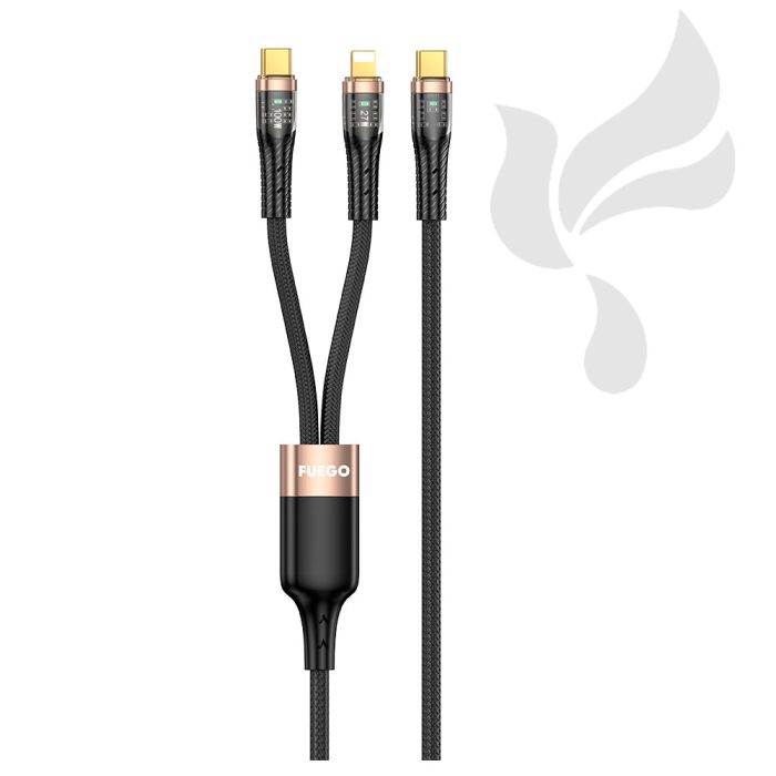FG231-